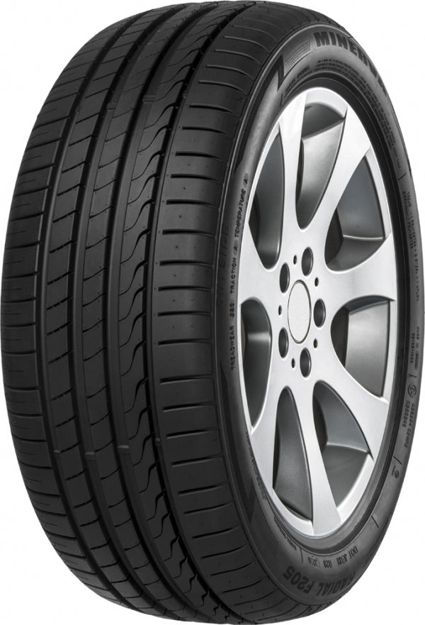 MINERVA F205 245/45R19